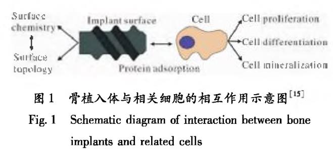 1721445632831314.jpg 360截圖16661201314782.jpg