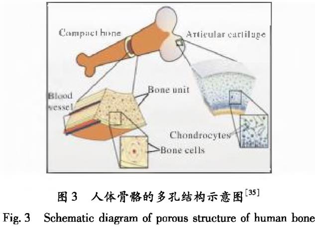 1721445665352003.jpg 360截圖16190817115120113.jpg